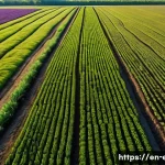 Home 15 기후 변화와 토양 변화 - **Image Prompt: The Tale of Two Fields: Degradation vs. Regeneration**
"A wide-angle, high-defin...