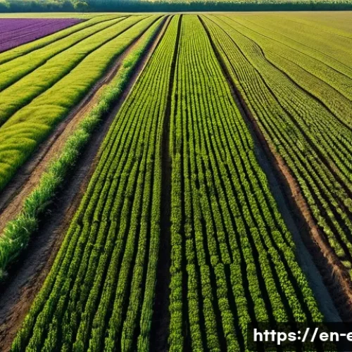 Home 27 기후 변화와 토양 변화 - **Image Prompt: The Tale of Two Fields: Degradation vs. Regeneration**
"A wide-angle, high-defin...