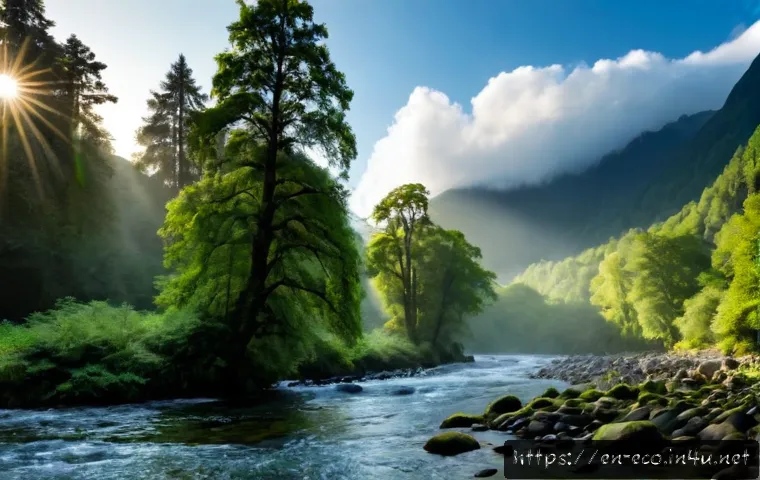 생태계 물순환 - Photorealistic wide landscape of a healthy forest ecosystem water cycle, morning sunlight illuminati...